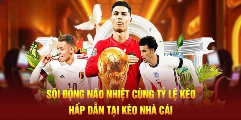 Tỷ lệ kèo nhà cái được nhiều bet thủ chơi quan tâm